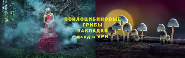 МДПВ Арсеньев