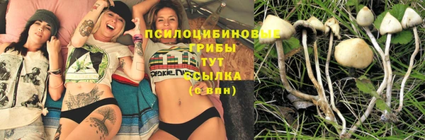 метамфетамин Аркадак